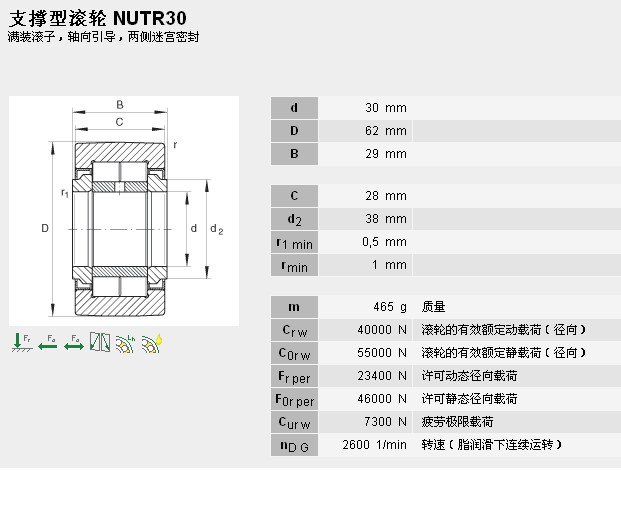 Dubbele Lagers van de de Naaldrol van de Rij Volledige Aanvulling NUTR30 30 × 62 × 29mm 0